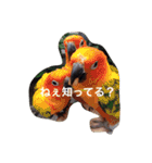 色んな動物に言葉をつけて（個別スタンプ：16）