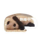 色んな動物に言葉をつけて（個別スタンプ：17）