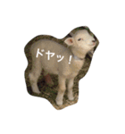 色んな動物に言葉をつけて（個別スタンプ：23）
