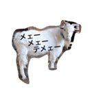 色んな動物に言葉をつけて（個別スタンプ：24）