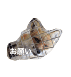 色んな動物に言葉をつけて（個別スタンプ：29）