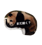 色んな動物に言葉をつけて（個別スタンプ：30）