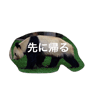 色んな動物に言葉をつけて（個別スタンプ：32）