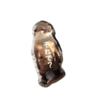 色んな動物に言葉をつけて（個別スタンプ：34）