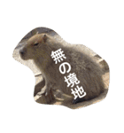 色んな動物に言葉をつけて（個別スタンプ：35）