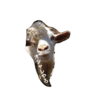 色んな動物に言葉をつけて（個別スタンプ：39）
