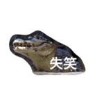 色んな動物に言葉をつけて（個別スタンプ：40）