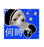 岩月家のわんこたち（個別スタンプ：23）