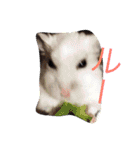 岩月家のわんこたち（個別スタンプ：27）