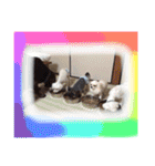 岩月家のわんこたち（個別スタンプ：28）