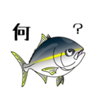 Yellowtail fishing sticker（個別スタンプ：2）