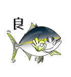 Yellowtail fishing sticker（個別スタンプ：3）