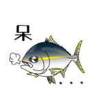 Yellowtail fishing sticker（個別スタンプ：5）