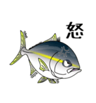 Yellowtail fishing sticker（個別スタンプ：8）