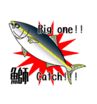 Yellowtail fishing sticker（個別スタンプ：13）