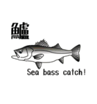 Yellowtail fishing sticker（個別スタンプ：14）