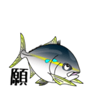 Yellowtail fishing sticker（個別スタンプ：40）
