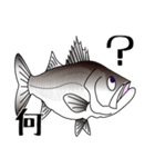 Lure-fishing sea bass（個別スタンプ：2）