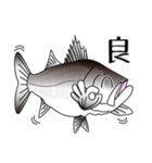 Lure-fishing sea bass（個別スタンプ：3）
