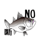 Lure-fishing sea bass（個別スタンプ：4）