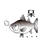 Lure-fishing sea bass（個別スタンプ：5）