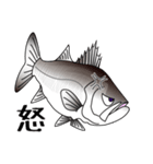 Lure-fishing sea bass（個別スタンプ：8）