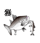 Lure-fishing sea bass（個別スタンプ：12）