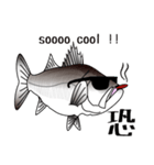 Lure-fishing sea bass（個別スタンプ：14）