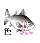 Lure-fishing sea bass（個別スタンプ：19）