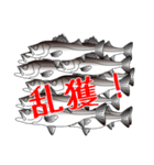 Lure-fishing sea bass（個別スタンプ：20）