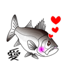 Lure-fishing sea bass（個別スタンプ：26）