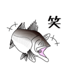 Lure-fishing sea bass（個別スタンプ：31）