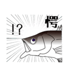 Lure-fishing sea bass（個別スタンプ：32）