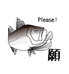 Lure-fishing sea bass（個別スタンプ：38）