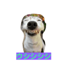 ひろの挨拶（個別スタンプ：4）