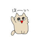 タラにゃんスタンプ（個別スタンプ：5）