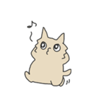 タラにゃんスタンプ（個別スタンプ：16）