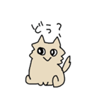 タラにゃんスタンプ（個別スタンプ：17）