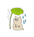 タラにゃんスタンプ（個別スタンプ：24）