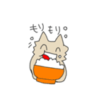 タラにゃんスタンプ（個別スタンプ：25）