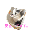 ムチムチきなこ（個別スタンプ：7）