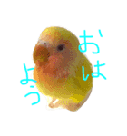 ムチムチきなこ（個別スタンプ：8）