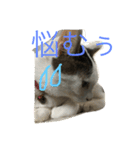 kiki と milk（個別スタンプ：1）