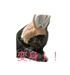 kiki と milk（個別スタンプ：2）
