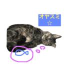 kiki と milk（個別スタンプ：4）