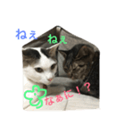 kiki と milk（個別スタンプ：5）