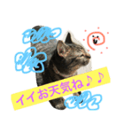 kiki と milk（個別スタンプ：6）