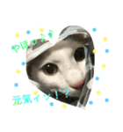 kiki と milk（個別スタンプ：7）