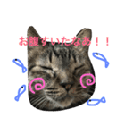 kiki と milk（個別スタンプ：10）