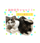 kiki と milk（個別スタンプ：12）